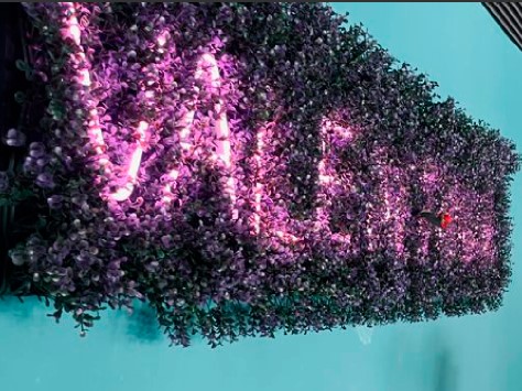 valentina experiencia