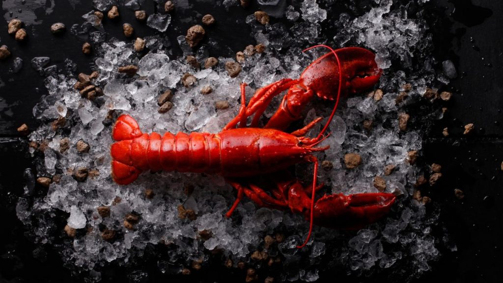 diferencias langosta y bogavante