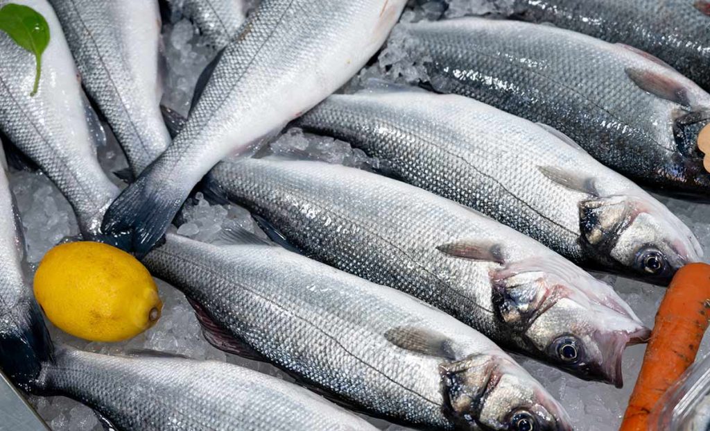 pescados-de-estero-lubina-carbon-valentina