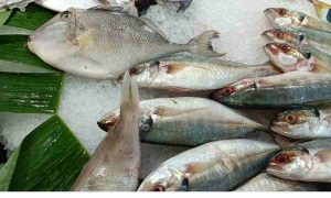 ¿Qué tipo de pescado es el bacalao? La respuesta que casi nadie conoce