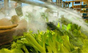 Qué son los grelos y cómo se usan en recetas